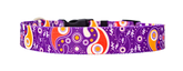 Pastel Retro Paisley Dog Collar